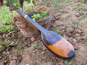  Свирај свирче - тамбура 