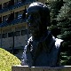 Волео је шишање „по фазону“ и овчје кисело млеко које је јео виљушком – Андрић из другог угла