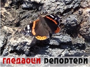 Гледаоци репортери (11. октобар 2022)