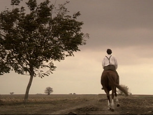  1001 Траг - Што се боре мисли моје - Звонко Богдан 