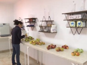 Могу  ли се воће, поврће и житарице гајити без хемије - одговор ће дати "Паштрић"