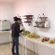 Могу  ли се воће, поврће и житарице гајити без хемије - одговор ће дати "Паштрић"