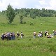 Дописништву РТС-а у Врању награда за најбољу еко-причу