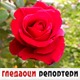 Гледаоци репортери (12. октобар 2022)