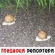 Гледаоци репортери (13. октобар 2022)