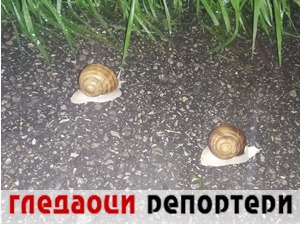 Гледаоци репортери (13. октобар 2022)