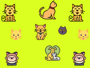  Добро јутро децо: У продавници опреме за кућне љубимце 