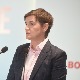 Брнабић: Остајемо при ставу да санкције нису најбоље решење