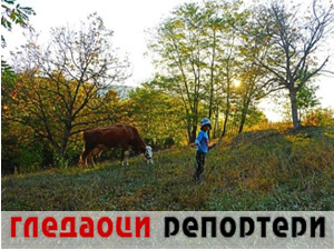 Гледаоци репортери (15. октобар 2022)