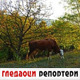 Гледаоци репортери (15. октобар 2022)