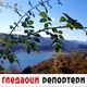 Гледаоци репортери (19. октобар 2022)