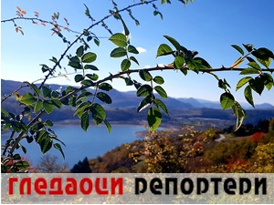 Гледаоци репортери (19. октобар 2022)