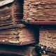 Бубашвабе, мољци, гнезда, лепак и јапански папир – рестаурација књига као велики изазов
