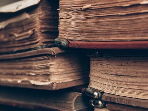 Бубашвабе, мољци, гнезда, лепак и јапански папир – рестаурација књига као велики изазов