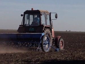  Шта мучи ратаре у јесењој сетви пшенице у Средњем Банату