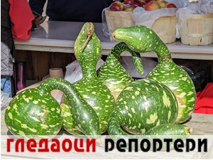 Гледаоци репортери (21. октобар 2022)