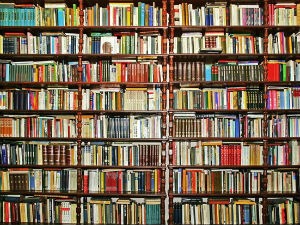 На основу чега бирате коју ћете књигу купити?