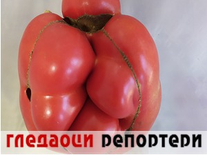 Гледаоци репортери (22. октобар 2022)