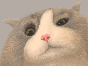  Добро јутро децо: Пррринова 