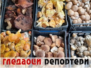Гледаоци репортери (24. октобар 2022)
