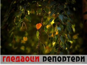 Гледаоци репортери (25. октобар 2022)
