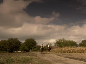  1001 Траг - Станите дани, станите ноћи - Раша Павловић 