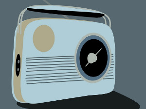  Радиозофирање: Понашање, 2. део 