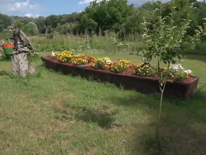 Градске баште на крововима и терасама, међу стамбеним зградама