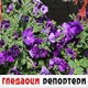Гледаоци репортери (30. октобар 2022)