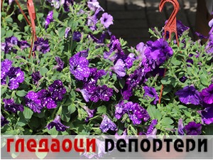 Гледаоци репортери (30. октобар 2022)