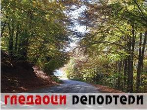 Гледаоци репортери (31. октобар 2022)