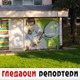 Гледаоци репортери (1. новембар 2022)