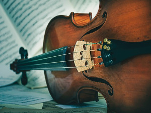 	Свирај свирче - виола