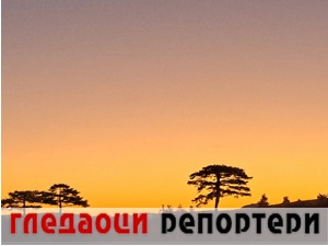 Гледаоци репортери (4. новембар 2022)