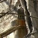 Како решити проблем оронулих фасада, а да не плате све станари
