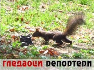 Гледаоци репортери (5. новембар 2022)