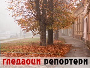Гледаоци репортери (6. новембар 2022)