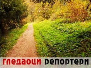 Гледаоци репортери (8. новембар 2022)