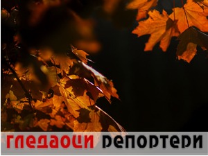 Гледаоци репортери (9. новембар 2022)