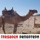 Гледаоци репортери (10. новембар 2022)