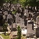 У Београду цвета црно тржиште гробних места – ко и где продаје земљу за сахрањивање