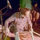 Камера је присутна-Бам бам дрводух