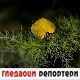 Гледаоци репортери (11. новембар 2022)