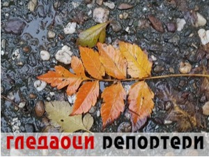 Гледаоци репортери (12. новембар 2022)
