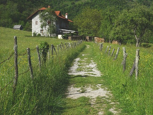  1001 Траг - Лепа воденичарка - Раша Павловић 