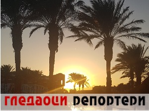 Гледаоци репортери (13. новембар 2022)