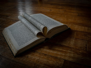 	У друштву песника - Сонет У нашој поезији,Антун Густав Матош - Бранко Вујовић