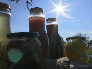 Не морате код рођака на село - цвета нови бизнис, тегла ајвара и џем од малине до кућног прага