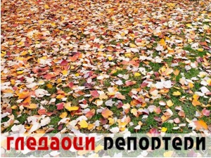 Гледаоци репортери (15. новембар 2022)
