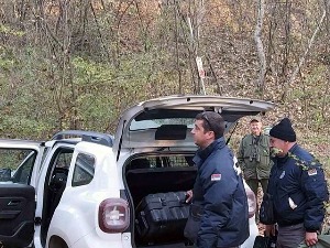 Апатински пантер - толико црн, па га нико није видео